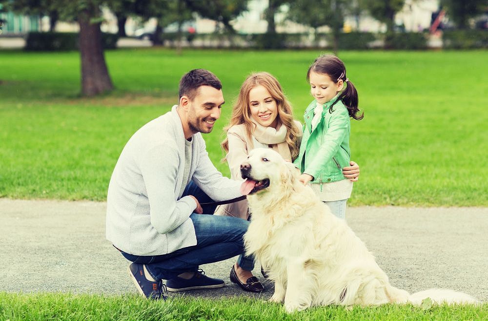 happy parents and child with dog to represent benefits of seeing a brisbane child psychologist